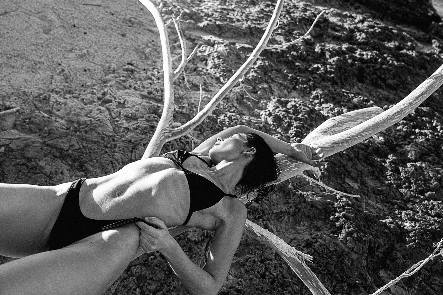 Lauren aux Bahamas IV