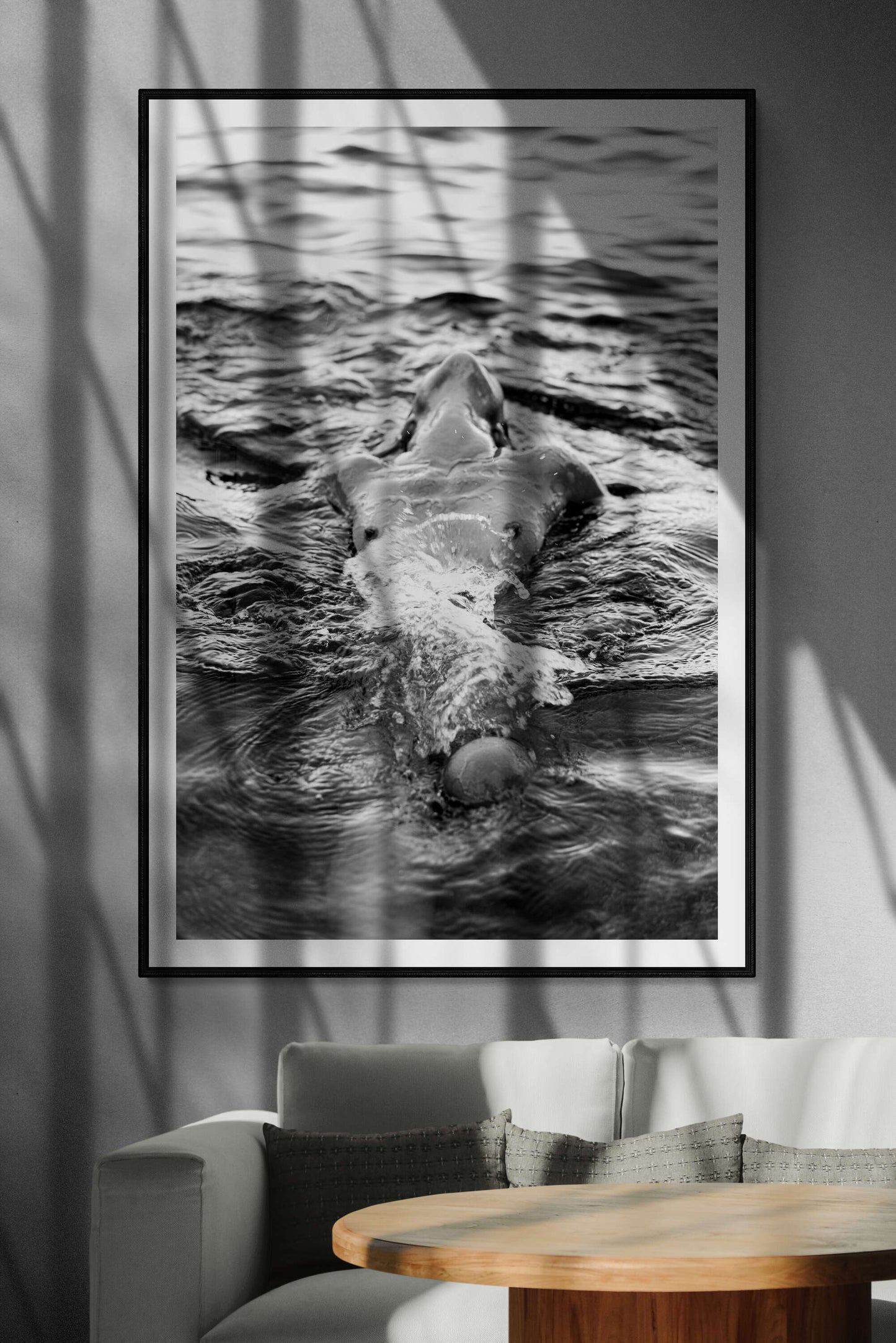 Myrtille dans les calanques IV